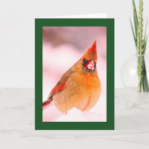 KERSTKAART MET KARDINAAL IN DE SNEEUW NOTITIEKAARTJE