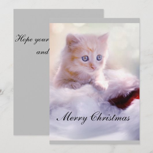 kerstkaart met kat. kaart (Voorkant / Achterkant)