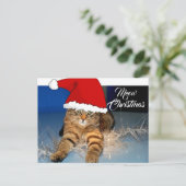 Kerstkaart met Kattengroet Briefkaart (Staand voorkant)