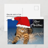 Kerstkaart met Kattengroet Briefkaart (Voorkant / Achterkant)