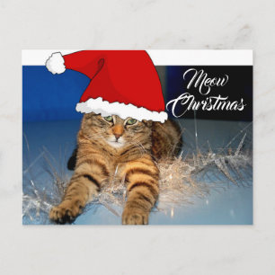 Kerstkaart met Kattengroet Briefkaart