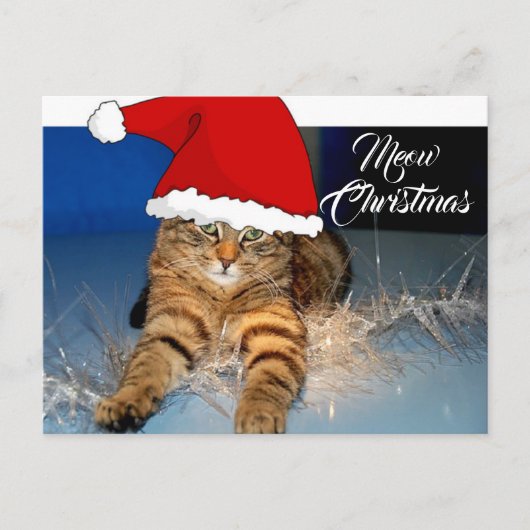 Kerstkaart met Kattengroet Briefkaart (Voorkant)