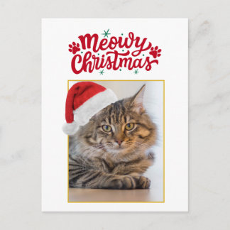 Kerstkaart met Meowy Kerstmis Foto Feestdagenkaart