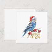 Kerstkaart met parkiet (Voorkant / Achterkant)