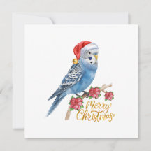 Kerstkaart met parkiet