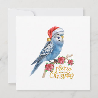 Kerstkaart met parkiet