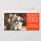 Kerstkaart met puppy & kitten (Voorkant)