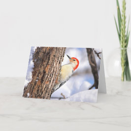 Kerstkaart met Roodbuikspecht Feestdagen Kaart