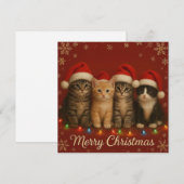 Kerstkaart met schattige katjes. (Voorkant / Achterkant)