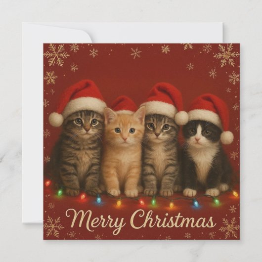 Kerstkaart met schattige katjes. (Voorkant)