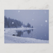 Kerstkaart met sneeuw aan zee