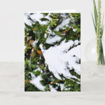 Kerstkaart met sneeuw op takken