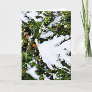 Kerstkaart met sneeuw op takken kaart