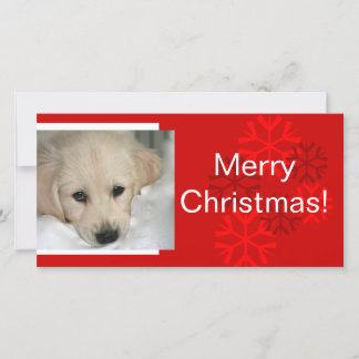 Kerstkaart met sneeuwvlok en foto van uw hond
