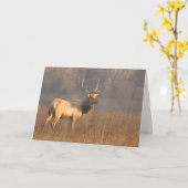 Kerstkaart met Tule elk Kaart (Gele Bloem)