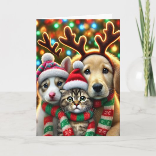 Kerstkaart met twee honden en een kat feestdagen kaart (Voorkant)