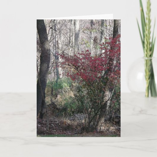 Kerstkaart met vakantiegroet feestdagen kaart (Voorkant)