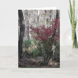 Kerstkaart met vakantiegroet feestdagen kaart