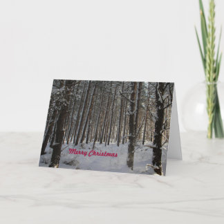 Kerstkaart met vrolijk kerstfeest feestdagen kaart