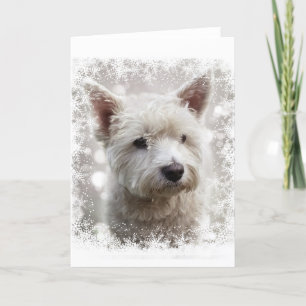 kerstkaart met Westie Feestdagen Kaart