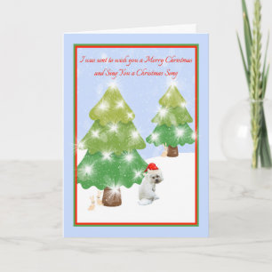 Kerstkaart met witte hond en humor kaart