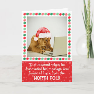 Kerstkaart Noordpool Hondje Gevouwen Feestdagen Kaart