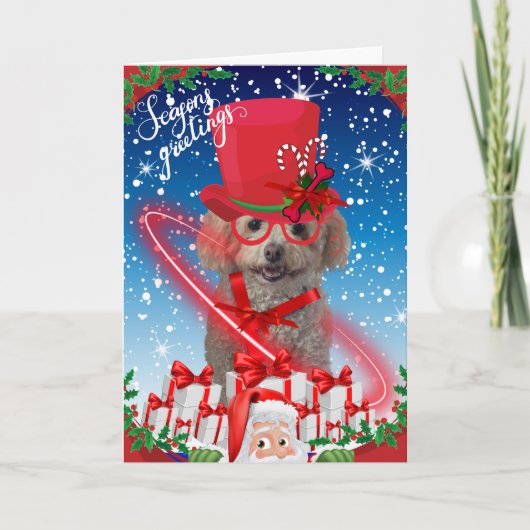 Kerstkaart Poodle Seasons Kaart (Voorkant)