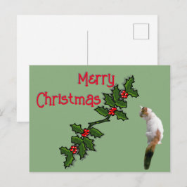 Kerstkaart - Prettig Kerstfeest Hulst en Lapjeskat Briefkaart