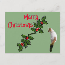 Kerstkaart - Prettig Kerstfeest Hulst en Lapjeskat Briefkaart