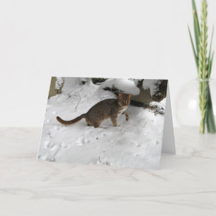 Kerstkaart - Roestige bevlekte kat 2 Feestdagen Kaart