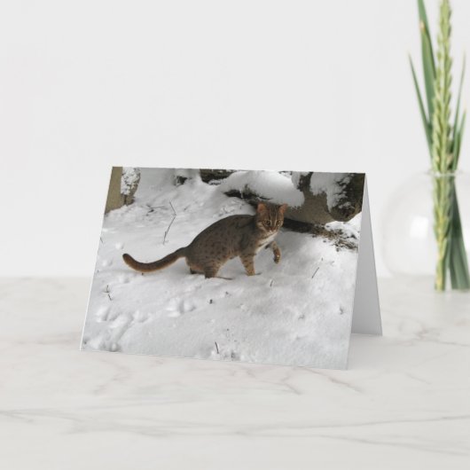 Kerstkaart - Roestige bevlekte kat 2 Feestdagen Kaart (Voorkant)