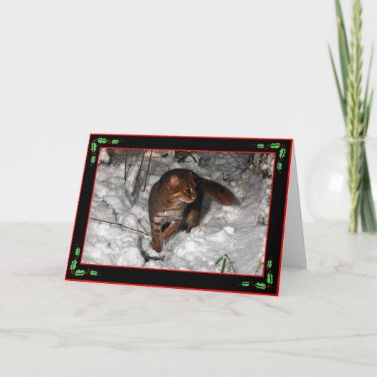 Kerstkaart - roestige bevlekte (zwarte) kat feestdagen kaart (Voorkant)