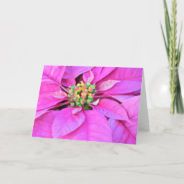 kerstkaart - Roze Poinsettia Feestdagen Kaart