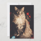 kerstkaart Smilla V2 (Voorkant)