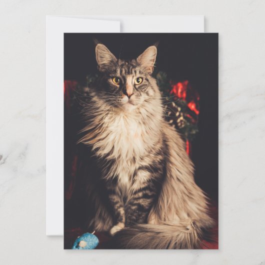 kerstkaart Smilla V2 (Voorkant)