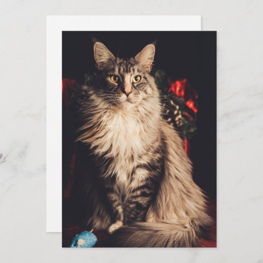 kerstkaart Smilla V2 (Voorkant / Achterkant)