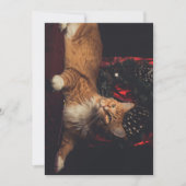 kerstkaart Tarzan V1 (Voorkant)