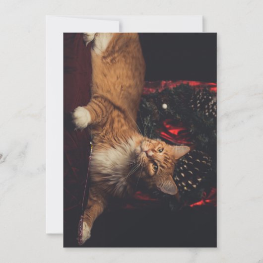 kerstkaart Tarzan V1 (Voorkant)