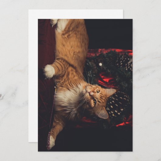 kerstkaart Tarzan V1 (Voorkant / Achterkant)