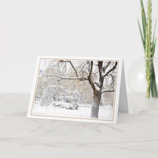 Kerstkaart van de Boston Public Garden Feestdagen Kaart (Voorkant)