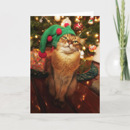 Kerstkaart van de Kat van het Kat van het Elf van Feestdagen Kaart