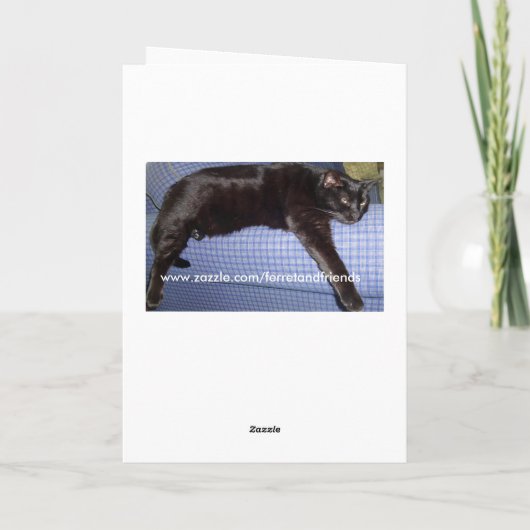 Kerstkaart van de Spion van de ongehoorzame of Kat Feestdagen Kaart (Achterkant)