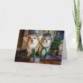 Kerstkaart van een Corgi Kaart (Voorkant)