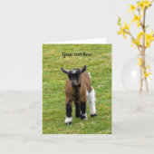 Kerstkaart van een Dwerggeitje Kaart (Gele Bloem)