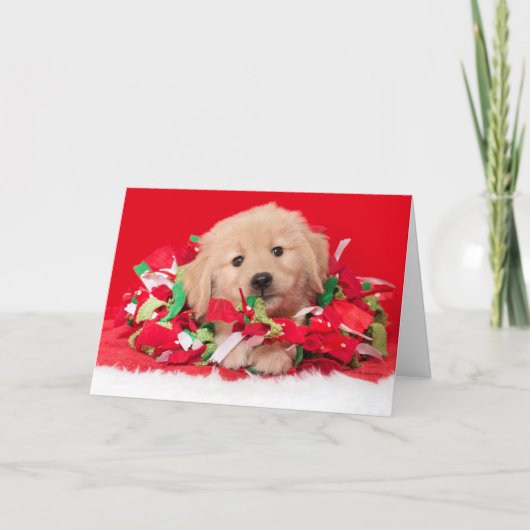 Kerstkaart van Golden Retriever Puppy Kaart (Voorkant)