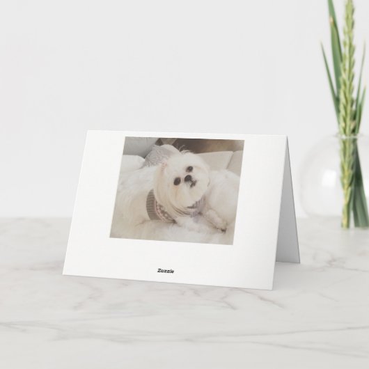 Kerstkaart van het puppy van Ava de Witte Shih Tzu Feestdagen Kaart (Achterkant)