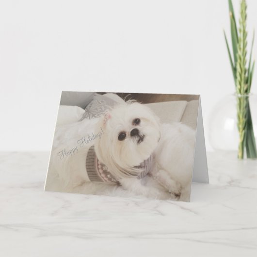 Kerstkaart van het puppy van Ava de Witte Shih Tzu Feestdagen Kaart (Voorkant)