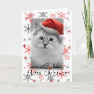 Kerstkaart van het Santa kat Feestdagen Kaart