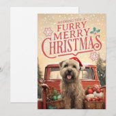 Kerstkaart van Soft Coated Wheaten Terrier (Voorkant / Achterkant)