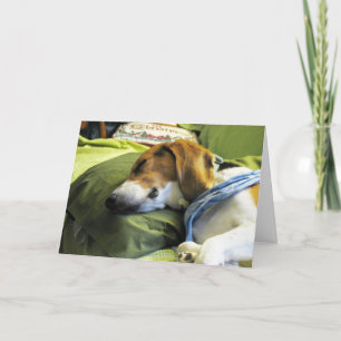 Kerstkaart voor beagle feestdagen kaart